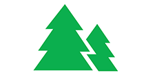 Pine trees icon
