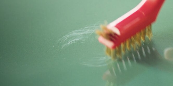 Metal brush creating swirl marks on car body
