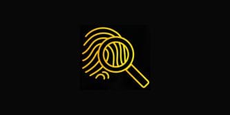 Fingerprint Yellow Icon
