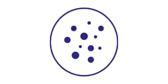 close up of particulates in the air
